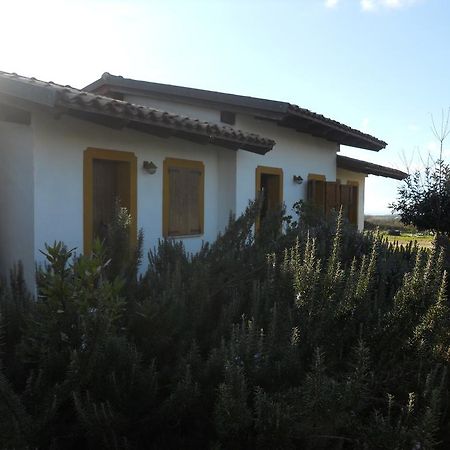 הוילה Sagama Agriturismo Su Nuratolu מראה חיצוני תמונה
