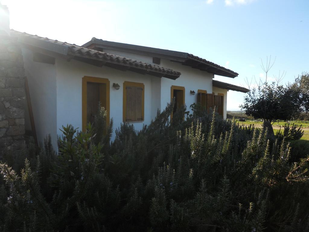 הוילה Sagama Agriturismo Su Nuratolu מראה חיצוני תמונה