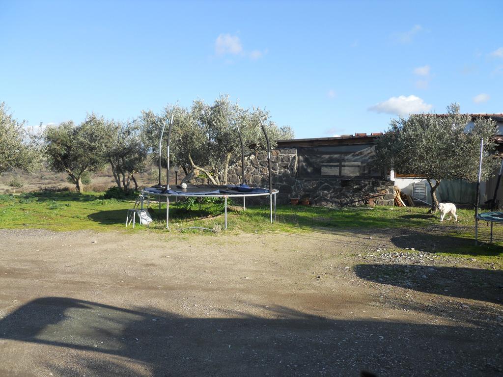הוילה Sagama Agriturismo Su Nuratolu מראה חיצוני תמונה
