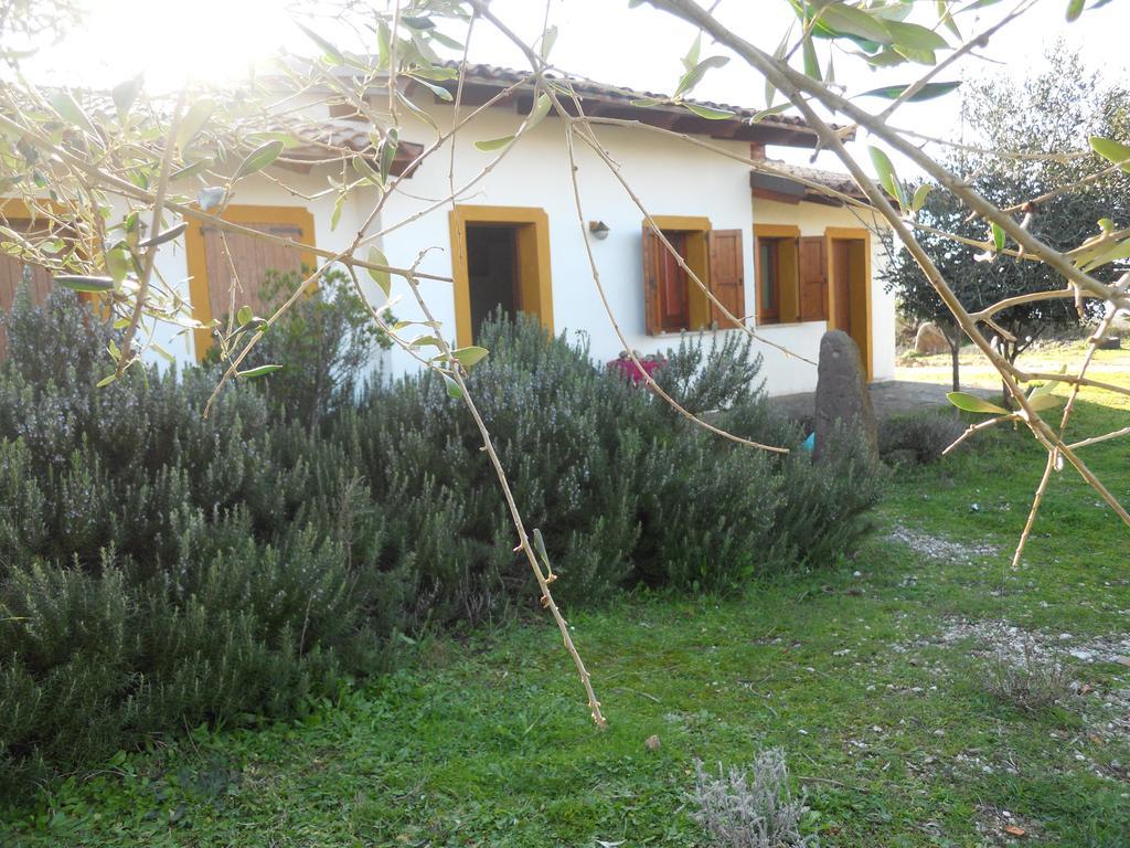 הוילה Sagama Agriturismo Su Nuratolu מראה חיצוני תמונה